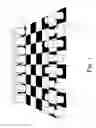Fig. 02 - CHESS GAME HAVING CAMOUFLAGED PIECES