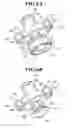 Fig. 07 - Toy top