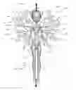 Fig. 01 - Reconfigurable Doll