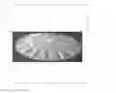 Fig. 01 - Reversible Flying Fingernail Game Disc