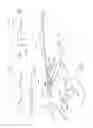 Fig. 08 - Particle separator assembly for a turbine engine