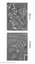 Fig. 10 - Process and apparatus for manufacturing water-absorbing material and use in cat litter