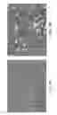 Fig. 14 - Process and apparatus for manufacturing water-absorbing material and use in cat litter