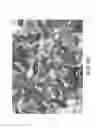 Fig. 15 - Process and apparatus for manufacturing water-absorbing material and use in cat litter