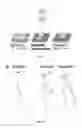 Fig. 02 - Methods of nanoscale directional wetting and uses thereof