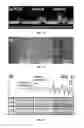 Fig. 04 - Methods of nanoscale directional wetting and uses thereof