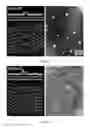 Fig. 07 - Methods of nanoscale directional wetting and uses thereof
