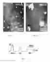 Fig. 08 - Methods of nanoscale directional wetting and uses thereof