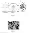 Fig. 02 - COPPER-SILICA CORE-SHELL NANOPARTICLES AND METHODS