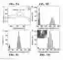 Fig. 06 - COPPER-SILICA CORE-SHELL NANOPARTICLES AND METHODS