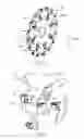 Fig. 02 - Tool body having an inner insert receiving pocket with resilient clamping member, cutting tool and chamfering cutting insert therefor