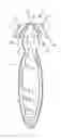 Fig. 01 - SAFETY KNIFE