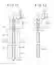 Fig. 07 - Method and apparatus for molding an elongated hollow article