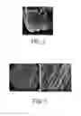 Fig. 02 - Reinforced composites, methods of manufacture, and articles therefrom