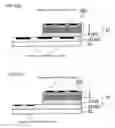 Fig. 05 - Thermal transfer sheet