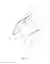 Fig. 02 - Methods and Apparatuses for Pigment Application and Removal