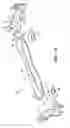 Fig. 19 - Vehicle twist axle assembly