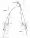 Fig. 07 - Zipper less removable windows for a folding SUV soft top