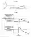 Fig. 07 - Vehicle collision detection system