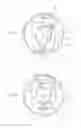 Fig. 04 - Braking device for vehicles such as, for example, walking frames, strollers or disabled wheelchairs
