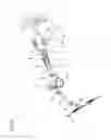 Fig. 13 - POSITION ADJUSTING APPARATUS FOR STEERING WHEEL