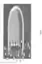 Fig. 07 - DIVE PLATFORM SYSTEM