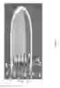 Fig. 07 - Dive platform system