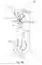 Fig. 04 - Knot-tying head