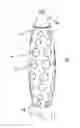 Fig. 15 - PROTECTIVE SLEEVES FOR CONTAINERS