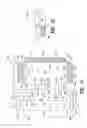 Fig. 10 - METHOD OF DISPLAYING AN ARTICLE AND METHOD OF PACKAGING AN ELONGATE BODY