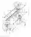 Fig. 05 - Emergency stop cutting mechanism for a web rewinding device