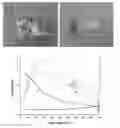Fig. 01 - RARE EARTH PHOSPHATE BASED NON REACTIVE AND NON-WETTABLE SURFACES