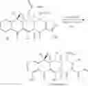 Fig. 131 - Synthesis of tetracyclines and analogues thereof