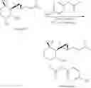 Fig. 20 - FUMAGILLOL HETEROCYCLIC COMPOUNDS AND METHODS OF MAKING AND USING SAME