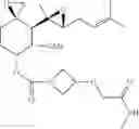 Fig. 210 - FUMAGILLOL HETEROCYCLIC COMPOUNDS AND METHODS OF MAKING AND USING SAME