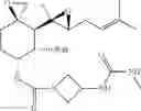 Fig. 211 - FUMAGILLOL HETEROCYCLIC COMPOUNDS AND METHODS OF MAKING AND USING SAME