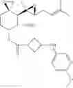 Fig. 241 - FUMAGILLOL HETEROCYCLIC COMPOUNDS AND METHODS OF MAKING AND USING SAME