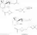 Fig. 253 - FUMAGILLOL HETEROCYCLIC COMPOUNDS AND METHODS OF MAKING AND USING SAME