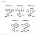 Fig. 02 - Indolizino [3,2-C] quinoline-based fluorescent probe