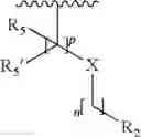 Fig. 53 - Spiro-isoquinoline-4,4′-piperidine compounds having multimodal activity against pain