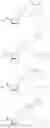 Fig. 22 - A3 adenosine receptor agonists