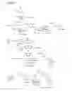 Fig. 06 - Process for preparing BTK inhibitors