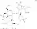 Fig. 22 - Method for preparing 2′-O-fucosyllactose