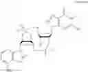 Fig. 07 - Cyclic di-nucleotide compounds and methods of use