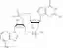 Fig. 22 - Cyclic di-nucleotide compounds and methods of use