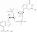 Fig. 28 - Cyclic di-nucleotide compounds and methods of use