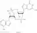 Fig. 280 - Cyclic di-nucleotide compounds and methods of use