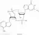 Fig. 294 - Cyclic di-nucleotide compounds and methods of use