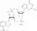 Fig. 32 - Cyclic di-nucleotide compounds and methods of use