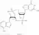 Fig. 321 - Cyclic di-nucleotide compounds and methods of use